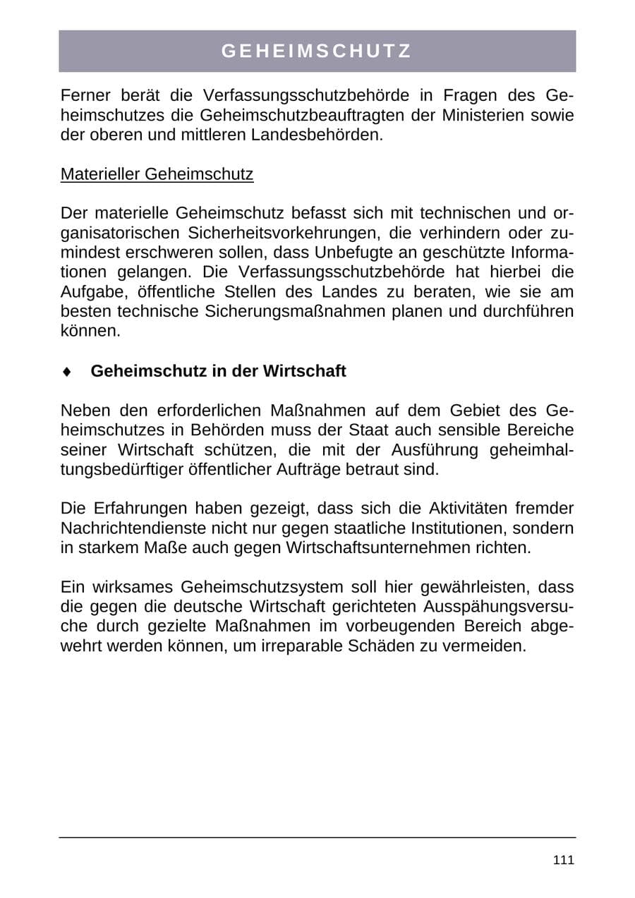Seite 119 des Verfassungsschutzbericht 2004 Sachsen-Anhalt