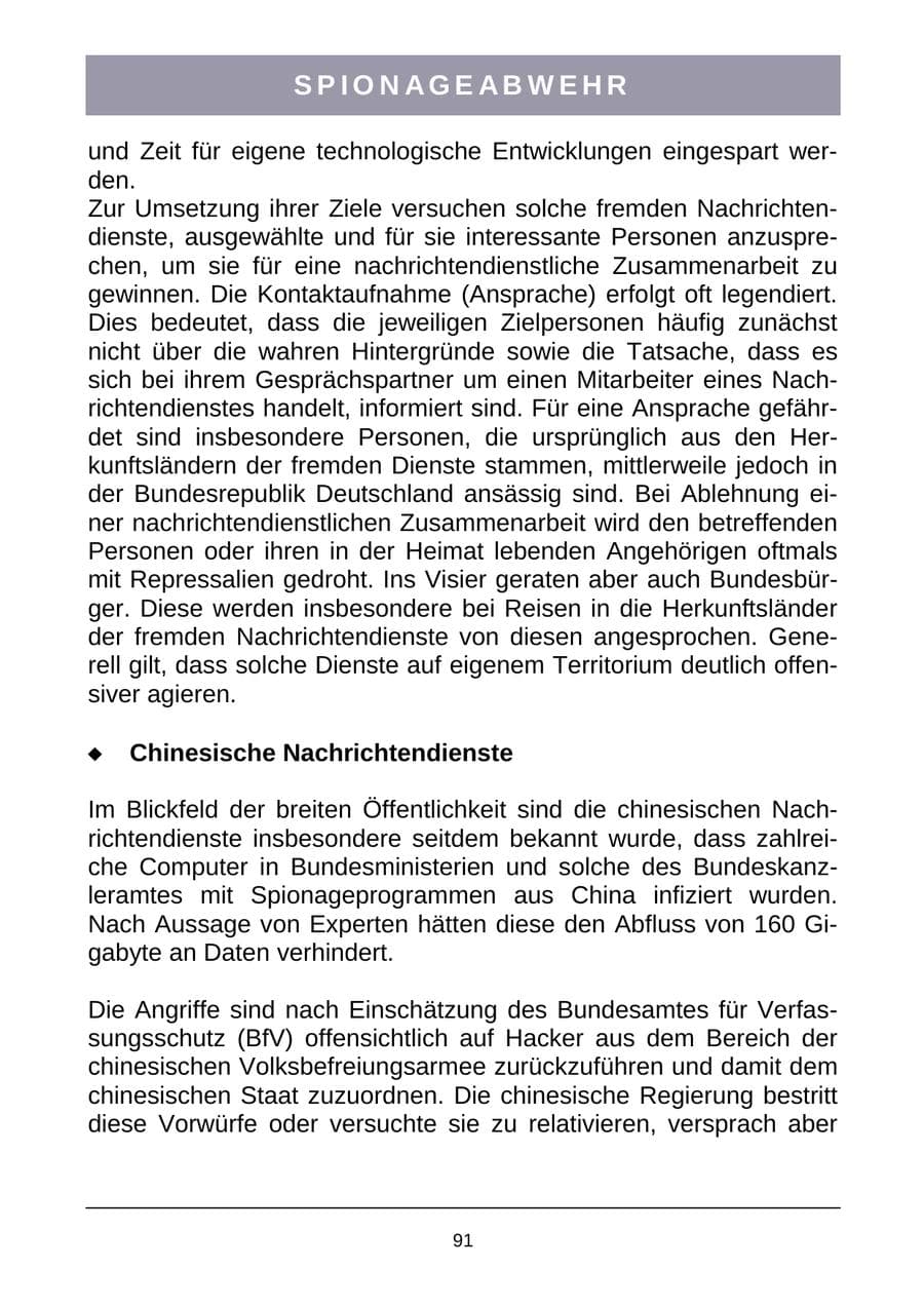 Seite 94 des Verfassungsschutzbericht 2007 Sachsen-Anhalt