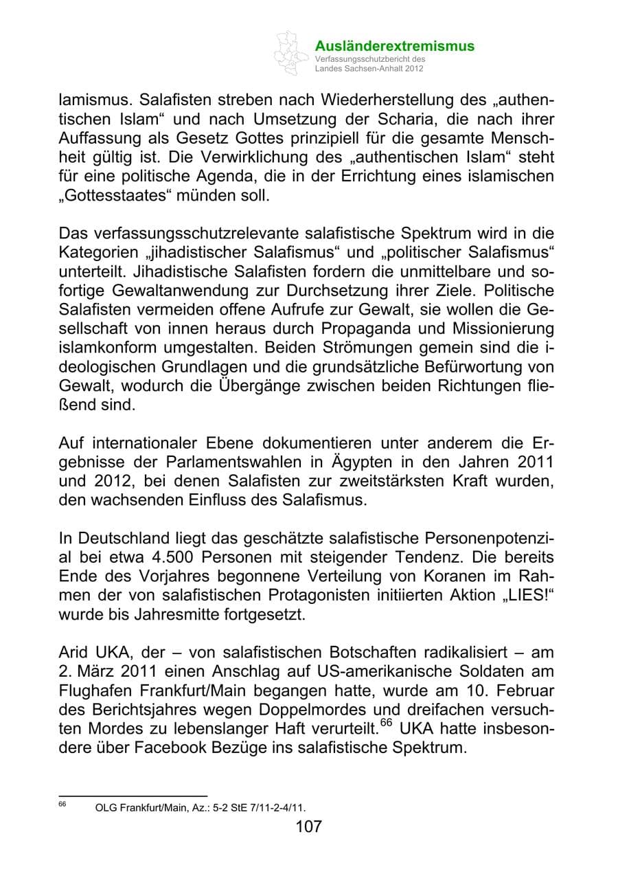 Seite 119 des Verfassungsschutzbericht 2012 Sachsen-Anhalt