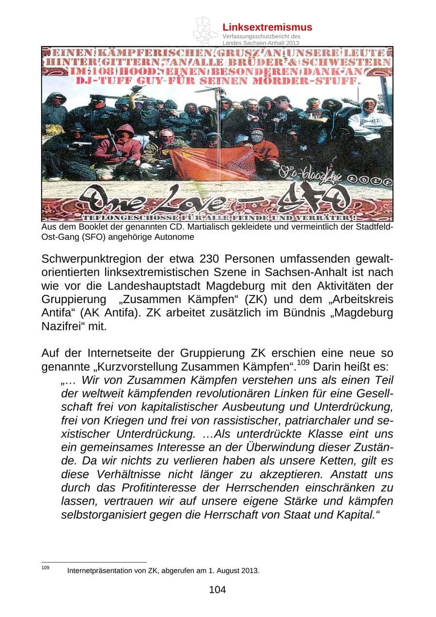 Seite 117 des Verfassungsschutzbericht 2013 Sachsen-Anhalt