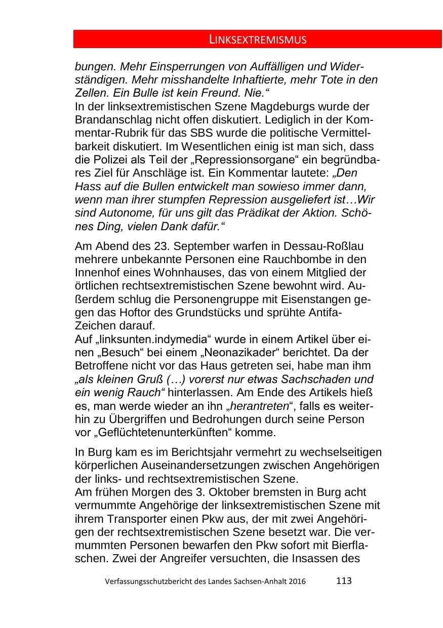 Seite 113 des Verfassungsschutzbericht 2016 Sachsen-Anhalt