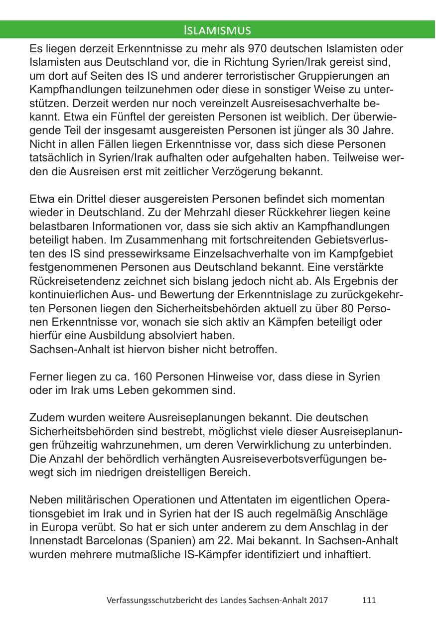 Seite 113 des Verfassungsschutzbericht 2017 Sachsen-Anhalt