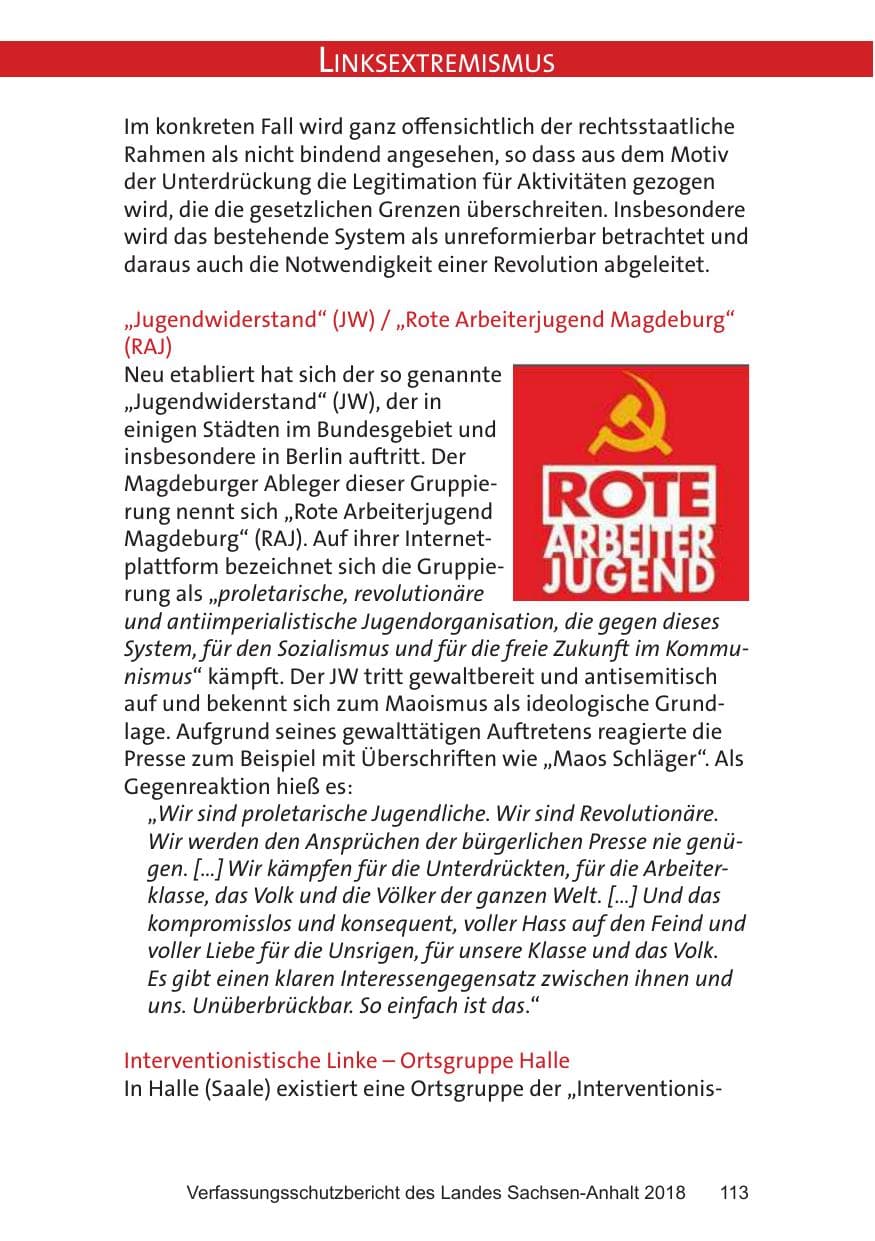 Seite 113 des Verfassungsschutzbericht 2018 Sachsen-Anhalt
