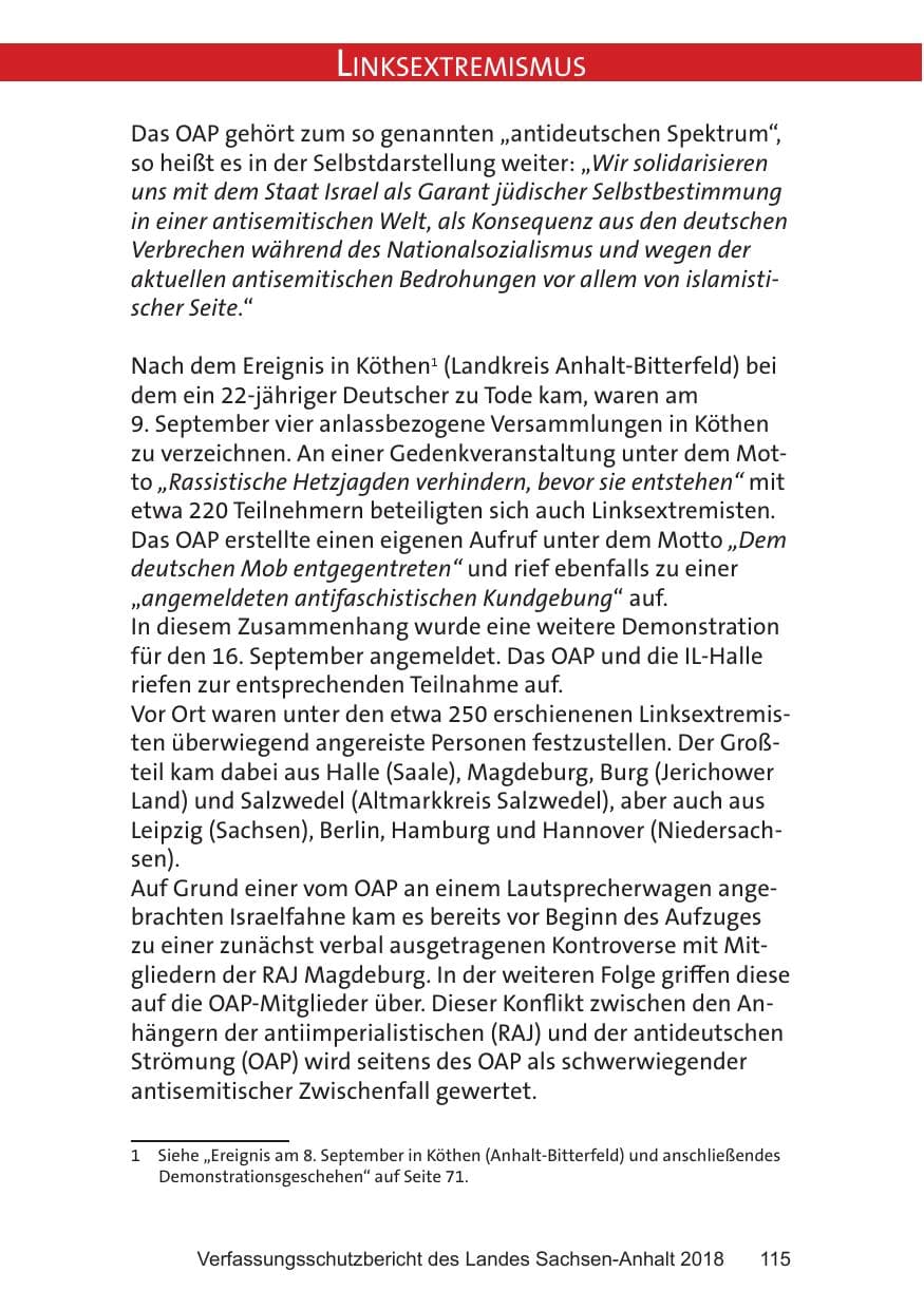 Seite 115 des Verfassungsschutzbericht 2018 Sachsen-Anhalt
