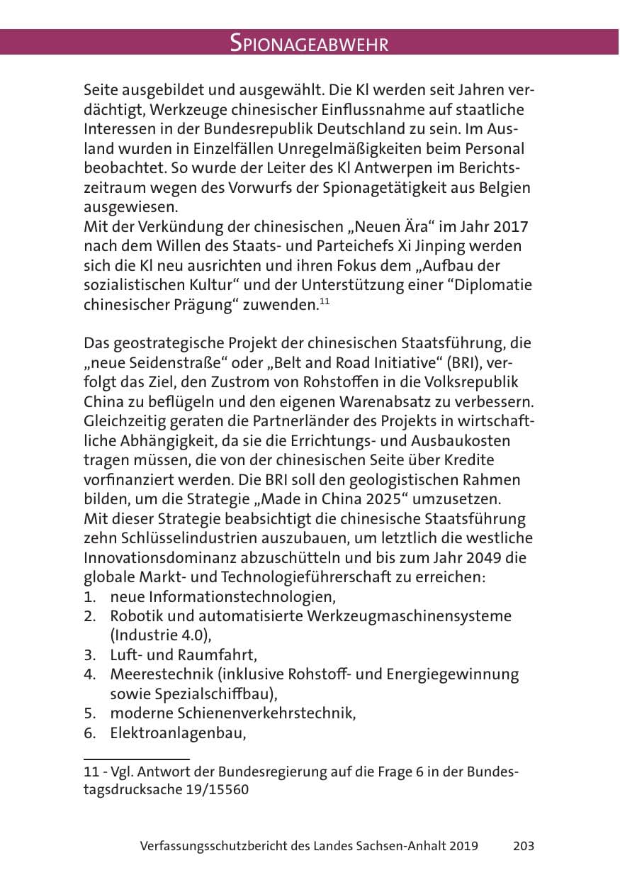 Seite 205 des Verfassungsschutzbericht 2019 Sachsen-Anhalt