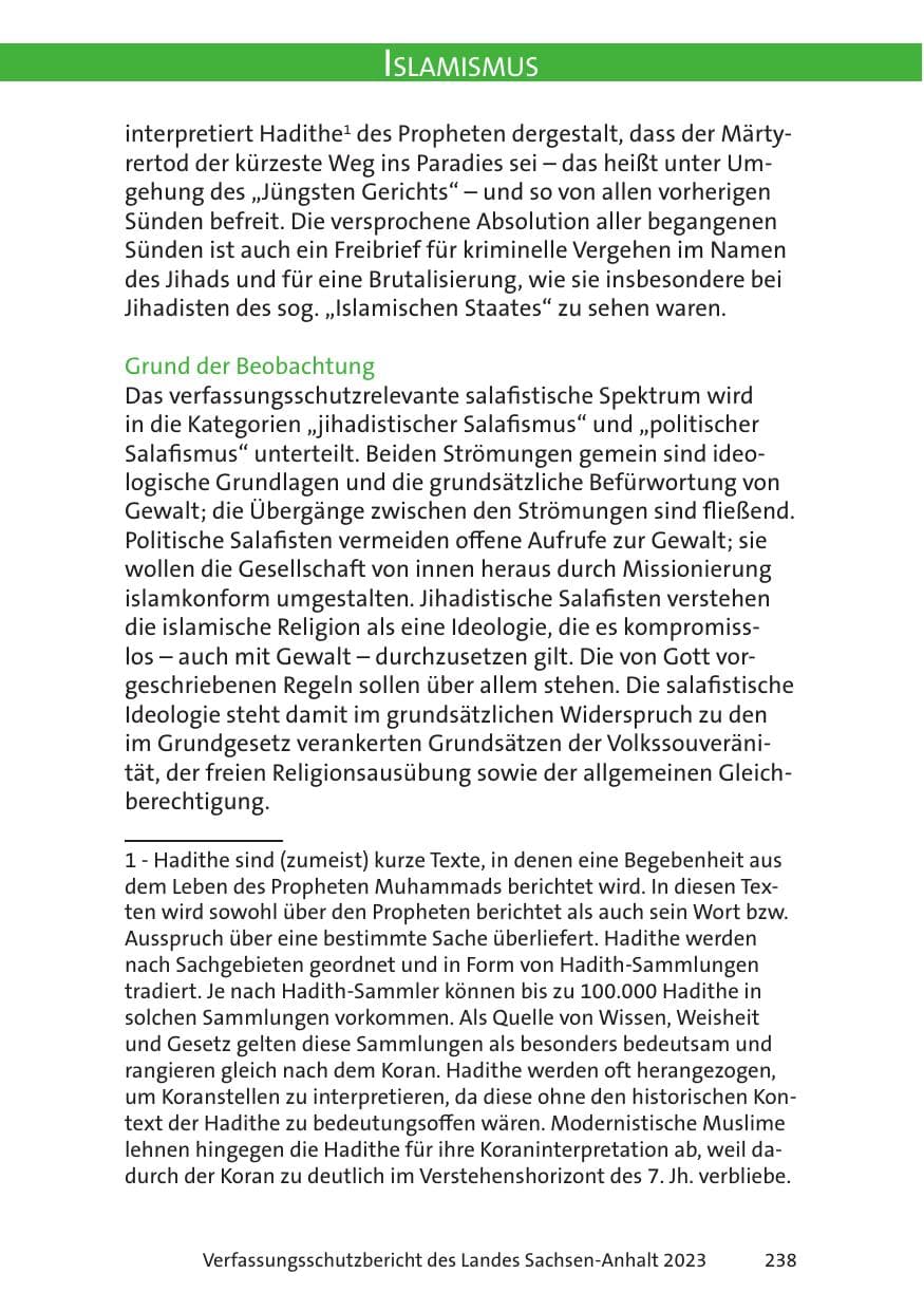 Seite 238 des Verfassungsschutzbericht 2023 Sachsen-Anhalt