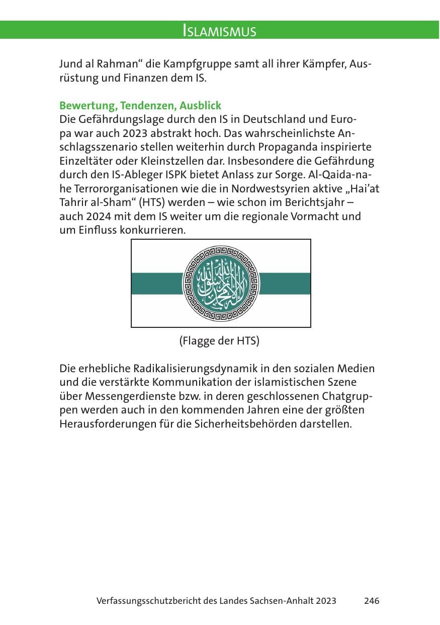 Seite 246 des Verfassungsschutzbericht 2023 Sachsen-Anhalt