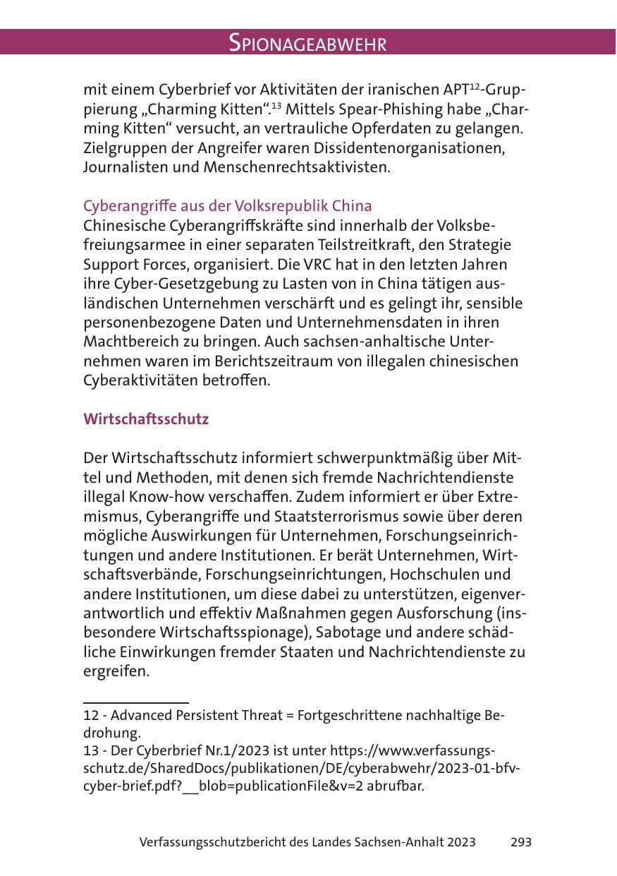Seite 293 des Verfassungsschutzbericht 2023 Sachsen-Anhalt