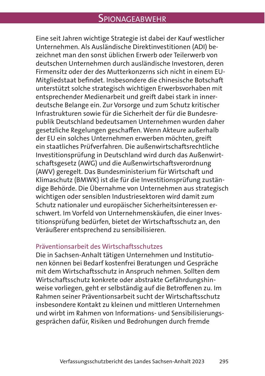 Seite 295 des Verfassungsschutzbericht 2023 Sachsen-Anhalt