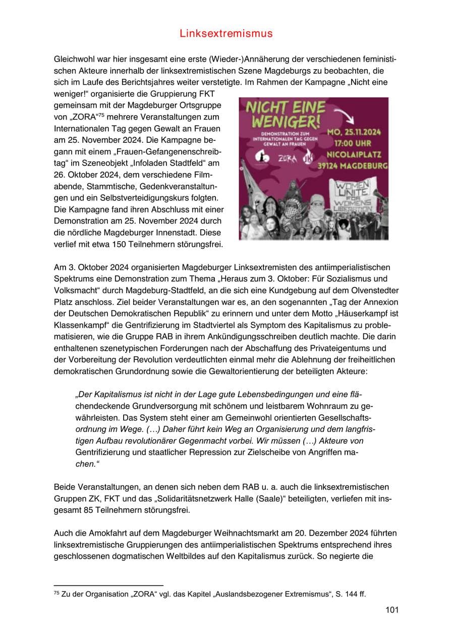 Seite 101 des Verfassungsschutzbericht 2024 Sachsen-Anhalt