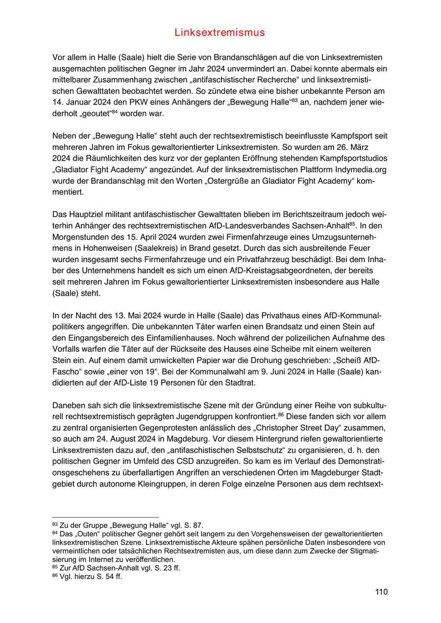 Seite 110 des Verfassungsschutzbericht 2024 Sachsen-Anhalt