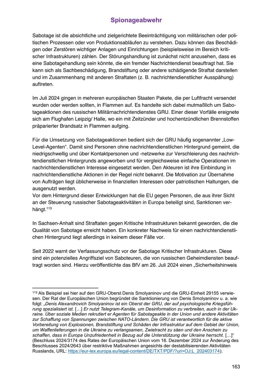 Seite 163 des Verfassungsschutzbericht 2024 Sachsen-Anhalt