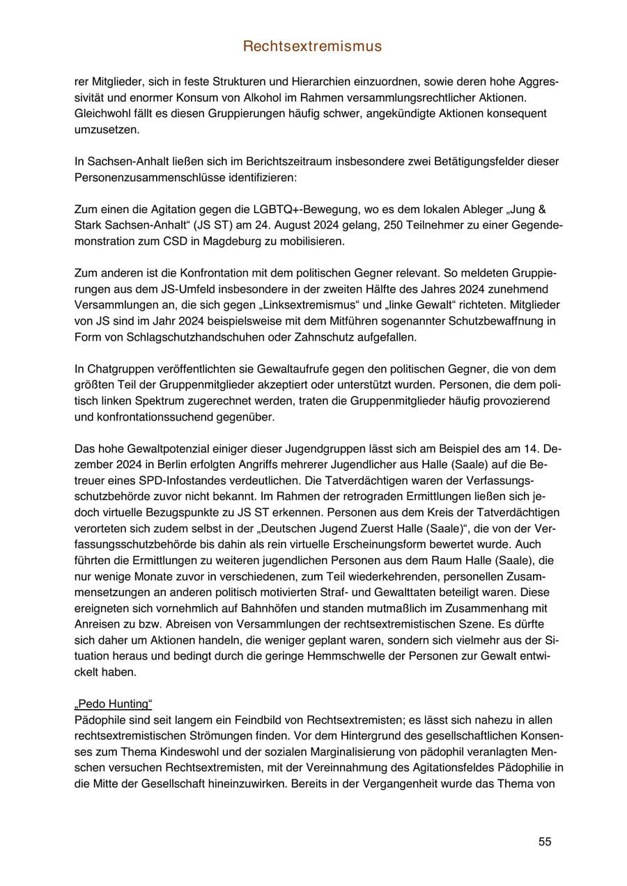 Seite 55 des Verfassungsschutzbericht 2024 Sachsen-Anhalt