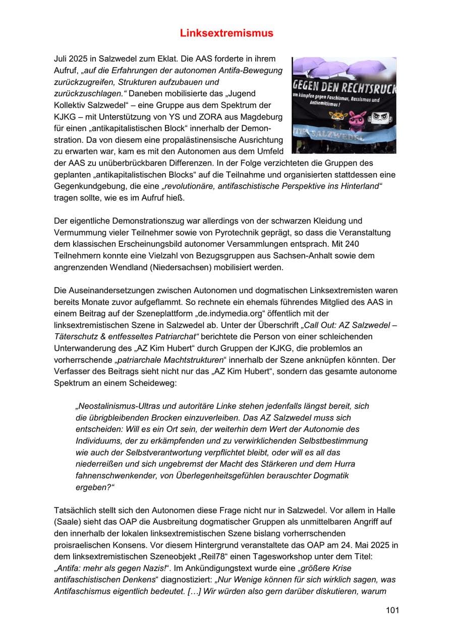 Seite 101 des Verfassungsschutzbericht 2025 Sachsen-Anhalt