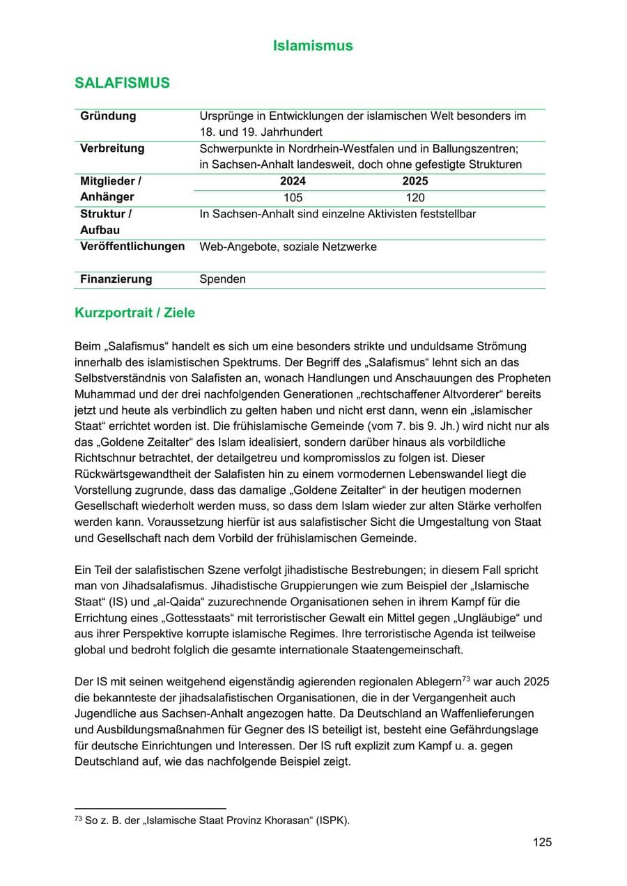Seite 125 des Verfassungsschutzbericht 2025 Sachsen-Anhalt