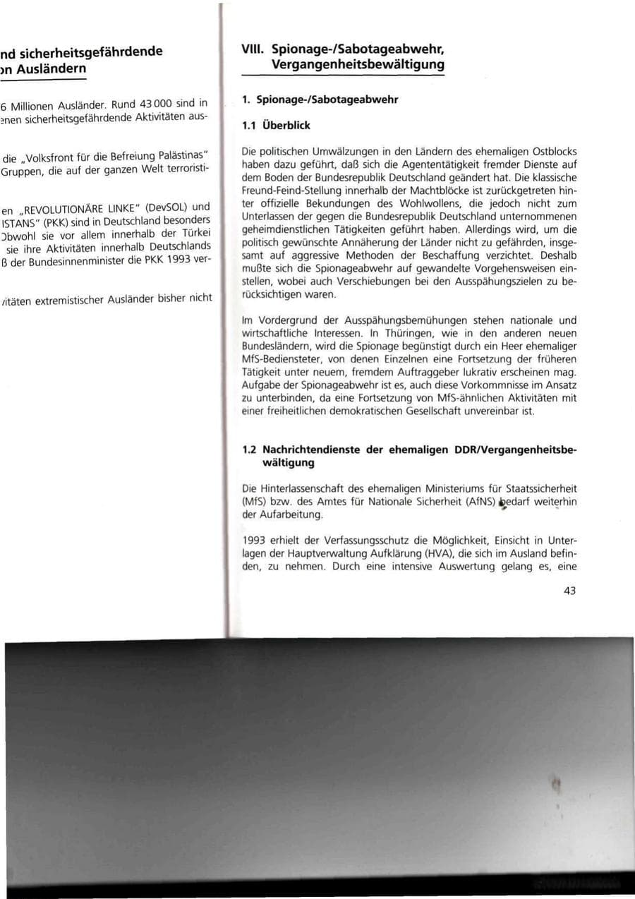 Seite 43 des Verfassungsschutzbericht 1993 Thüringen