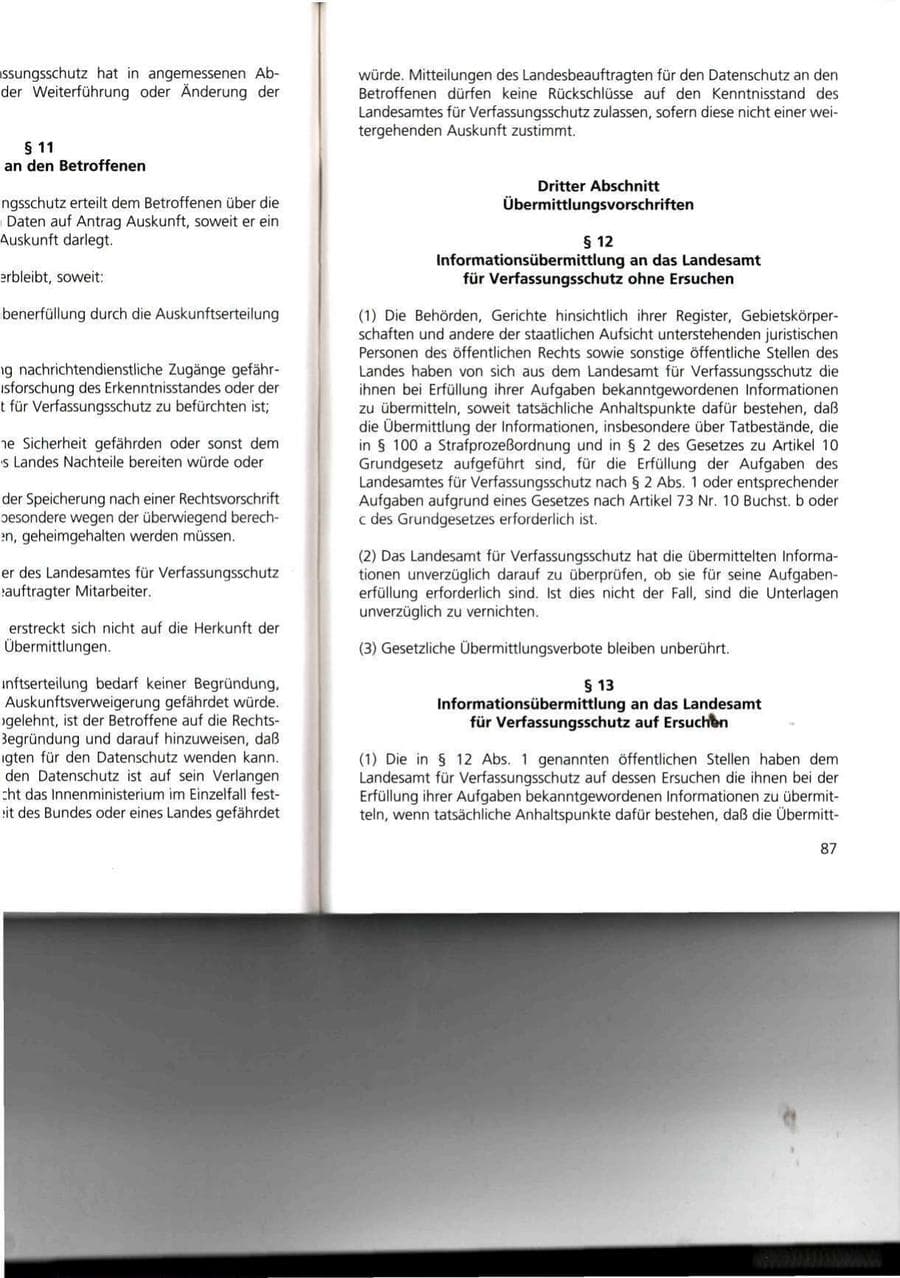 Seite 87 des Verfassungsschutzbericht 1993 Thüringen