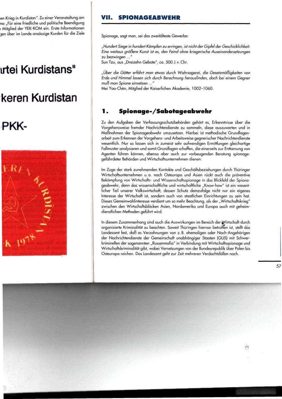 Seite 57 des Verfassungsschutzbericht 1994 Thüringen