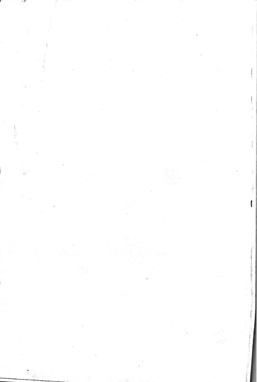 Seite 88 des Verfassungsschutzbericht 1995 Thüringen