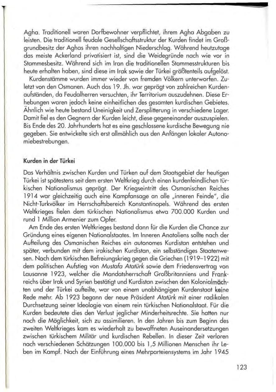 Seite 125 des Verfassungsschutzbericht 1997 Thüringen
