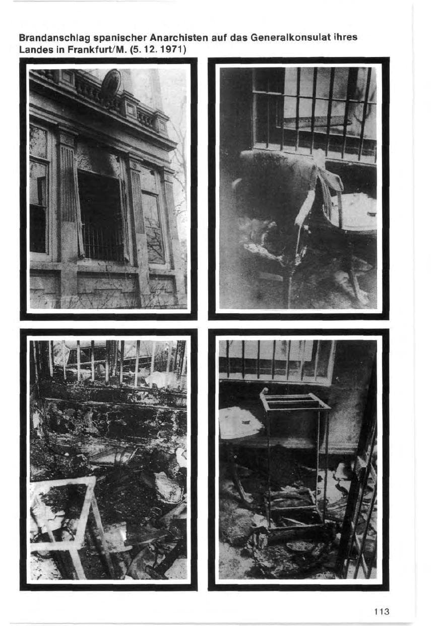 Seite 113 des Verfassungsschutzbericht 1971 Bund