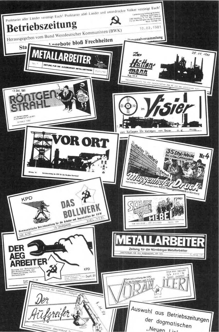 Seite 116 des Verfassungsschutzbericht 1981 Bund