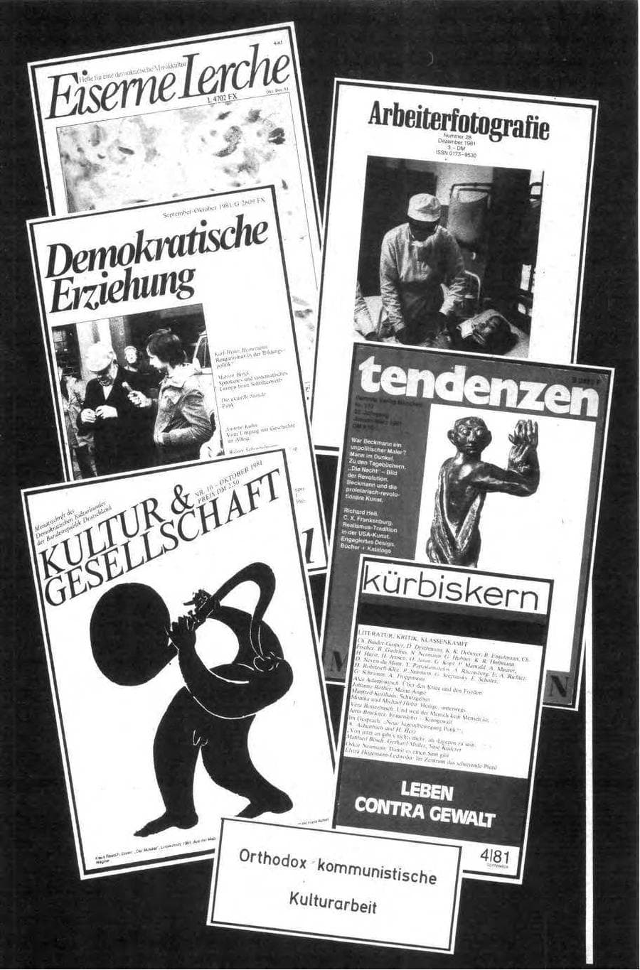 Seite 91 des Verfassungsschutzbericht 1981 Bund
