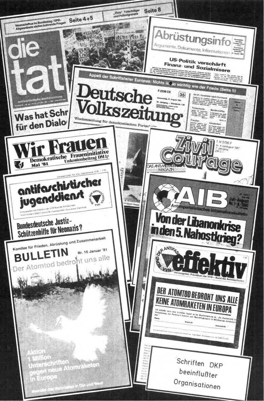 Seite 96 des Verfassungsschutzbericht 1981 Bund