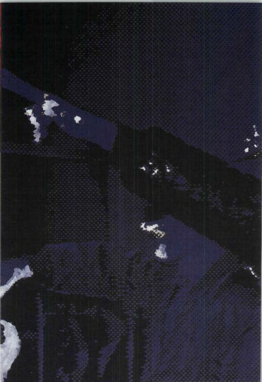 Seite 108 des Verfassungsschutzbericht 1989 Bund