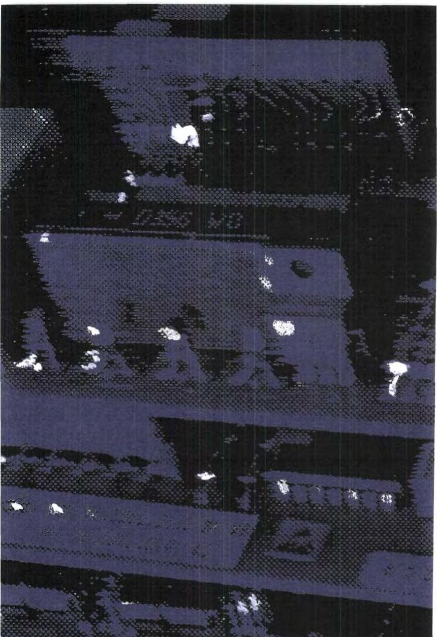 Seite 176 des Verfassungsschutzbericht 1989 Bund