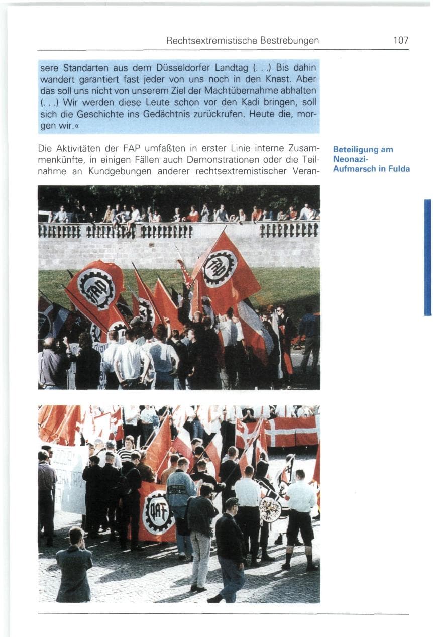 Seite 107 des Verfassungsschutzbericht 1993 Bund