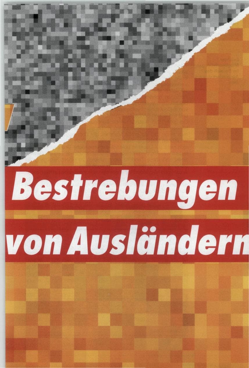 Seite 161 des Verfassungsschutzbericht 1993 Bund