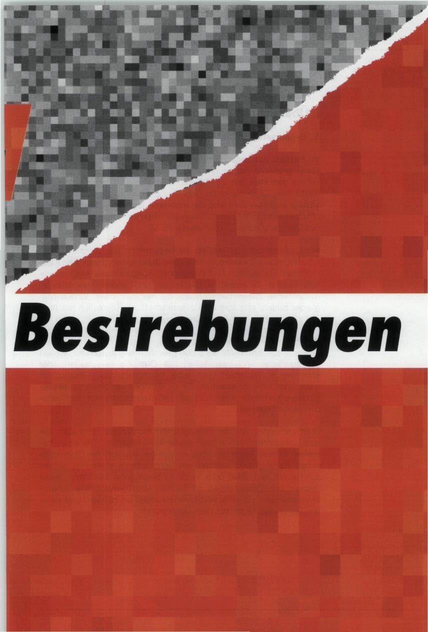 Seite 19 des Verfassungsschutzbericht 1993 Bund