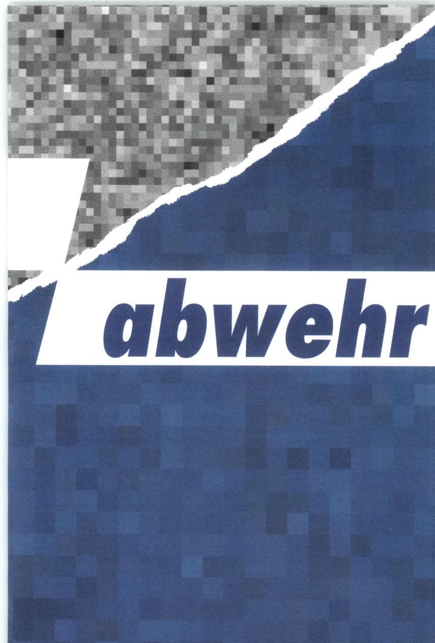 Seite 193 des Verfassungsschutzbericht 1993 Bund