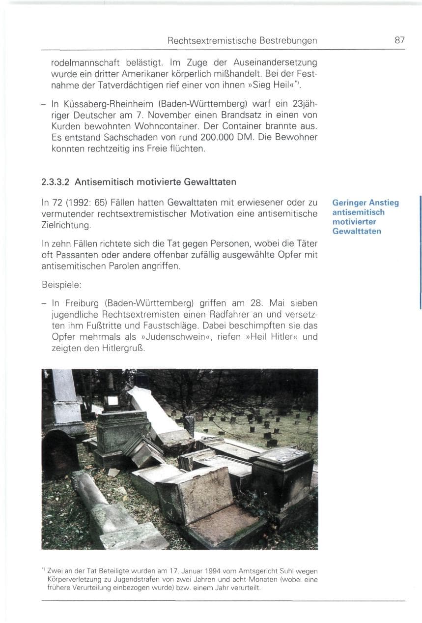 Seite 87 des Verfassungsschutzbericht 1993 Bund