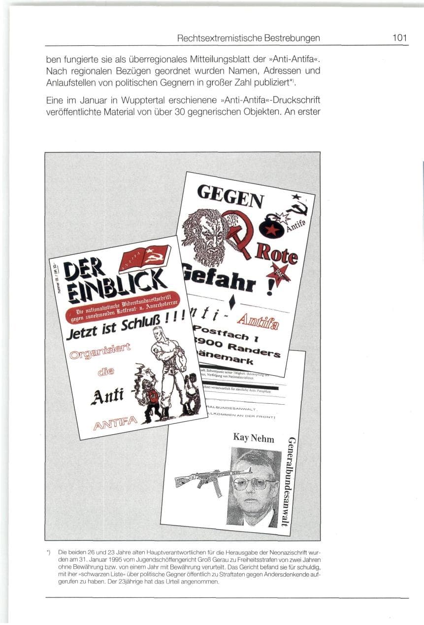 Seite 101 des Verfassungsschutzbericht 1994 Bund