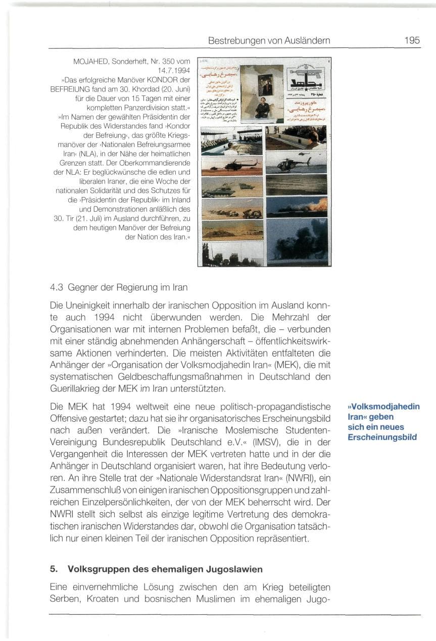Seite 195 des Verfassungsschutzbericht 1994 Bund