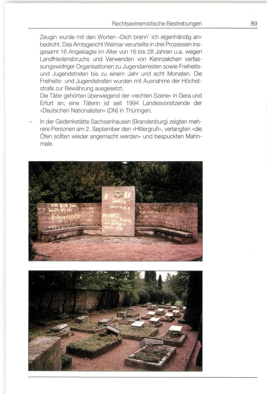 Seite 89 des Verfassungsschutzbericht 1994 Bund