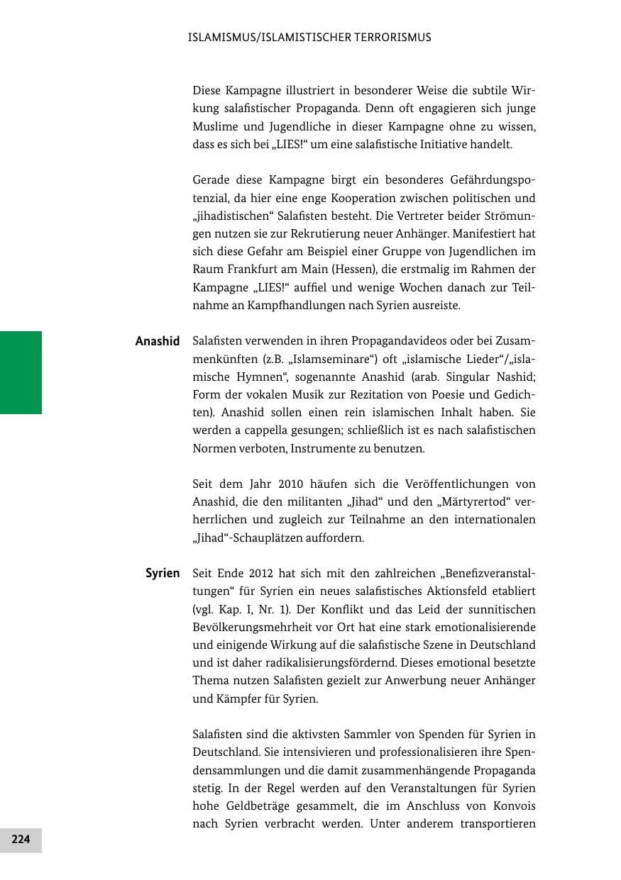 Seite 223 des Verfassungsschutzbericht 2013 Bund