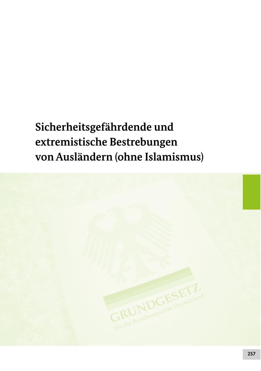 Seite 256 des Verfassungsschutzbericht 2013 Bund