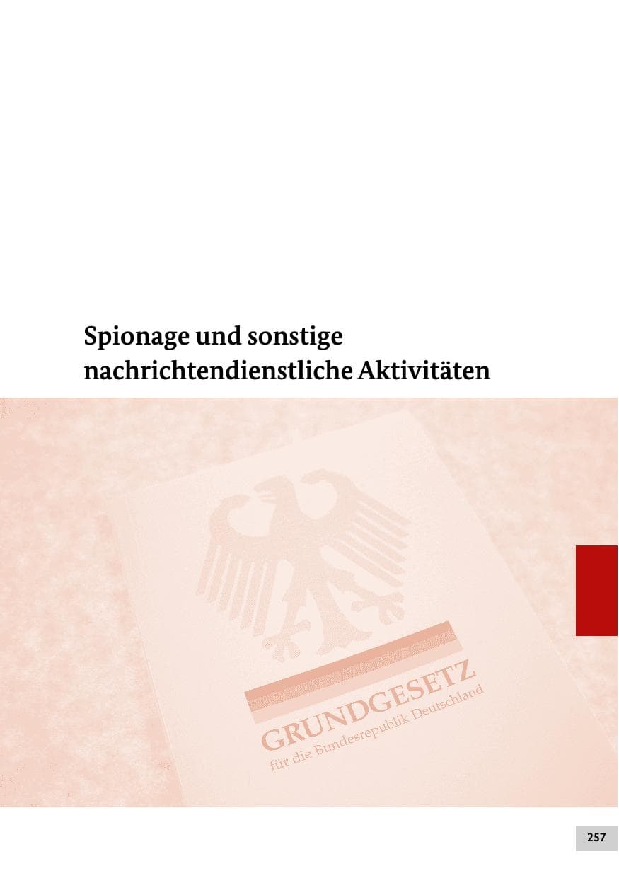 Seite 256 des Verfassungsschutzbericht 2016 Bund