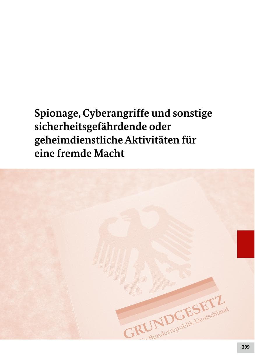 Seite 299 des Verfassungsschutzbericht 2024 Bund