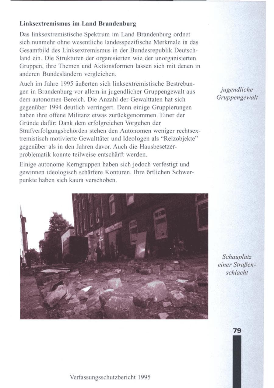 Seite 81 des Verfassungsschutzbericht 1995 Brandenburg