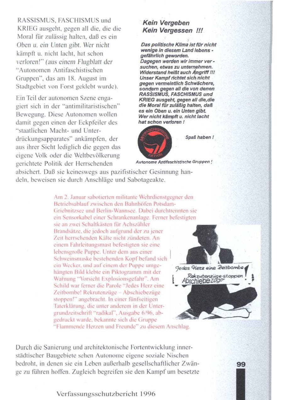 Seite 101 des Verfassungsschutzbericht 1996 Brandenburg