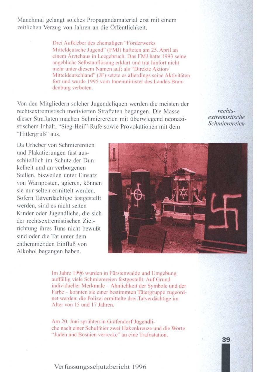 Seite 41 des Verfassungsschutzbericht 1996 Brandenburg
