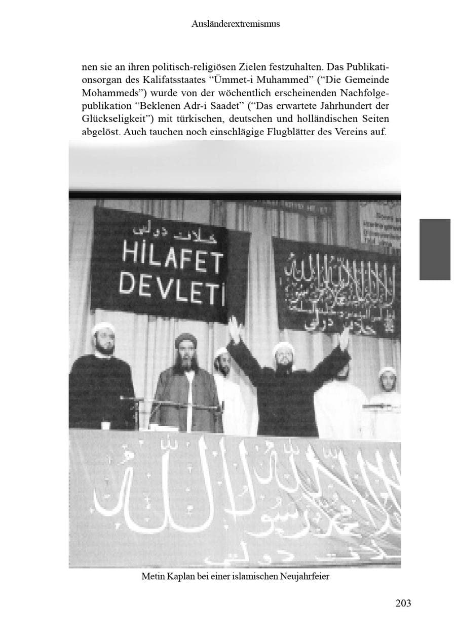Seite 207 des Verfassungsschutzbericht 2002 Brandenburg