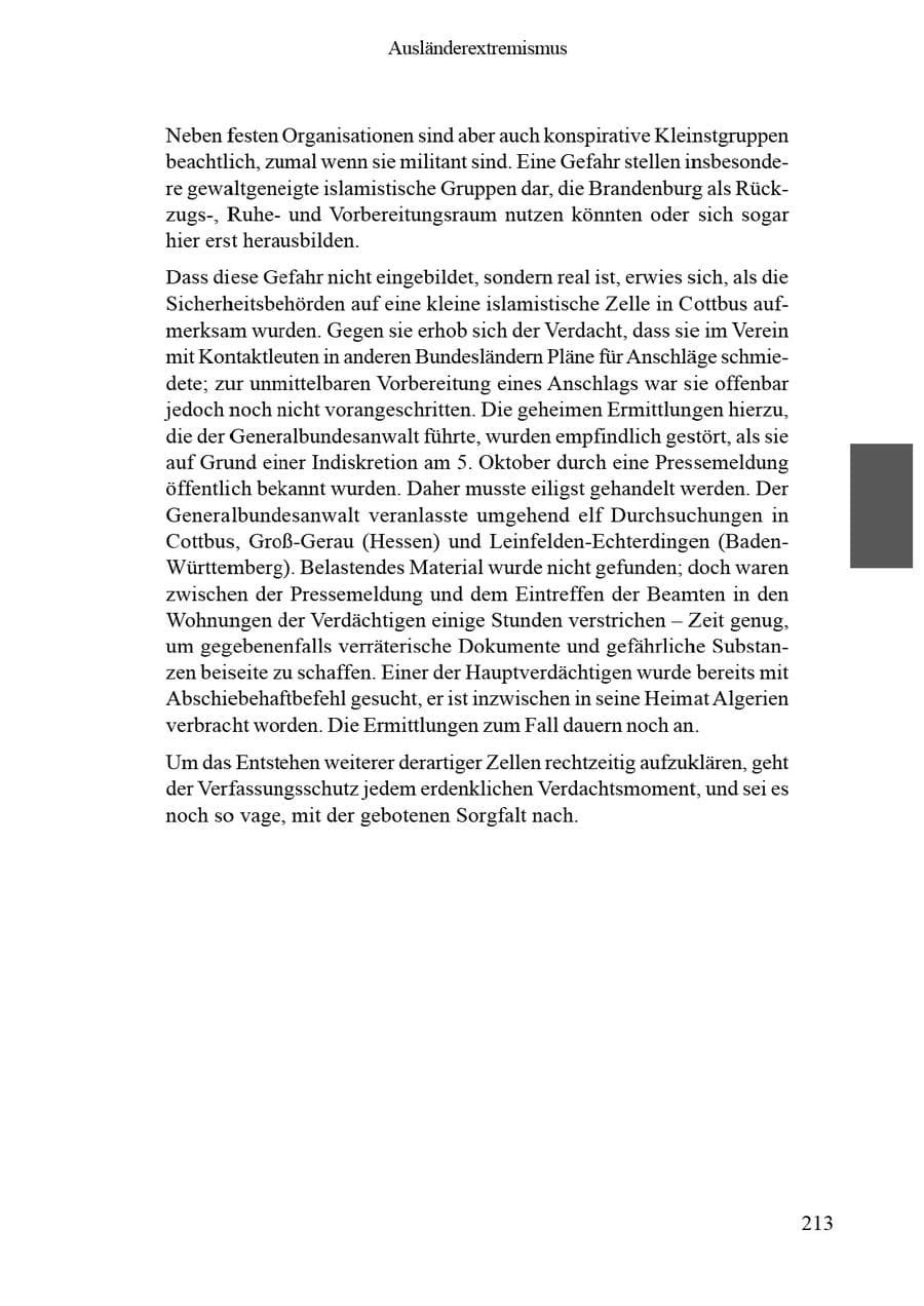 Seite 217 des Verfassungsschutzbericht 2002 Brandenburg