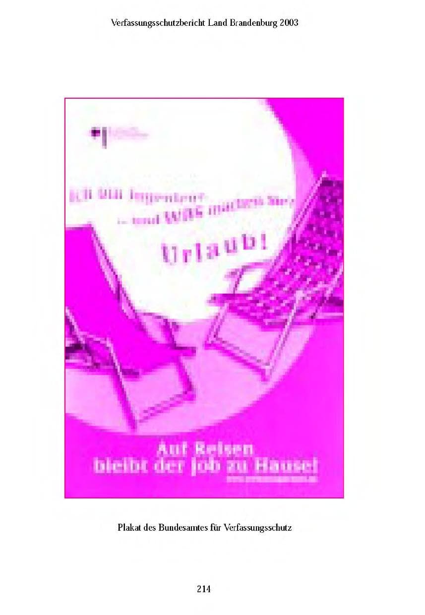 Seite 213 des Verfassungsschutzbericht 2003 Brandenburg