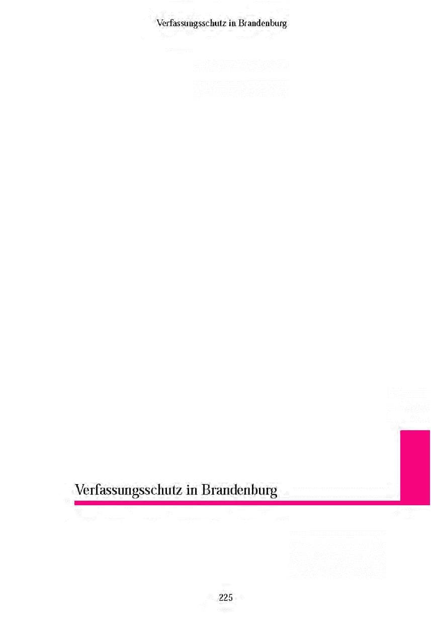 Seite 223 des Verfassungsschutzbericht 2003 Brandenburg
