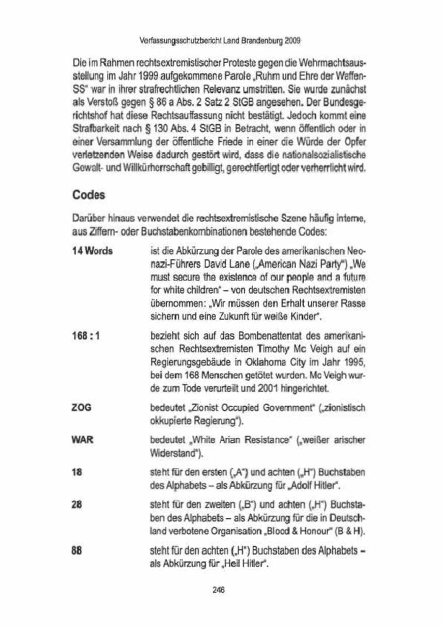 Seite 248 des Verfassungsschutzbericht 2009 Brandenburg